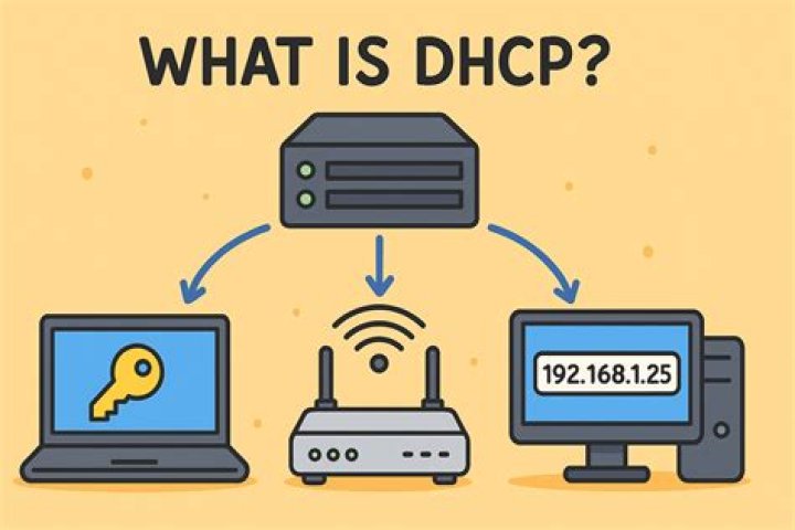 What is DHCP diagram?