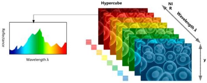 What is diffusion spectrum imaging?