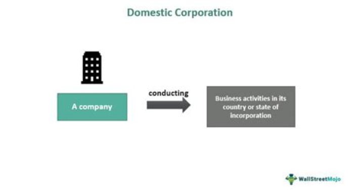 What is domestic company index?
