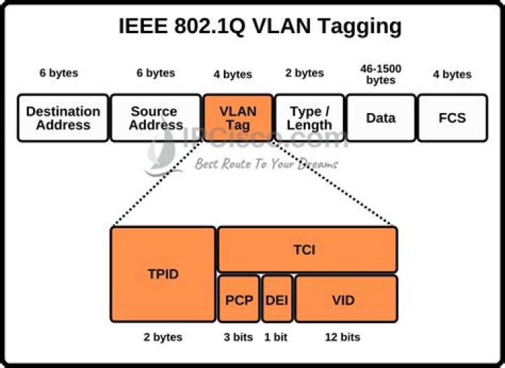 What is Dot1q native VLAN?