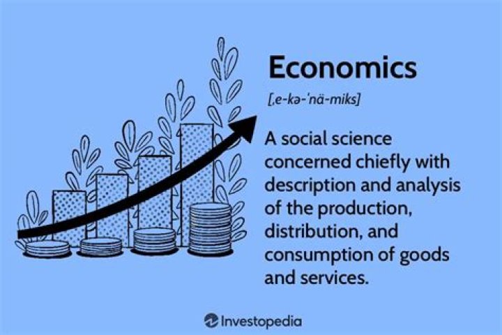 What is economic as a social science?
