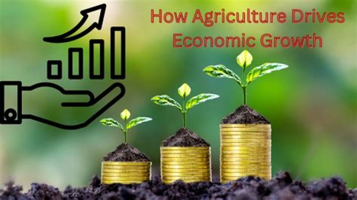 What is economic farming?