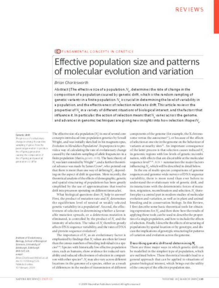 What is effective size of a population?
