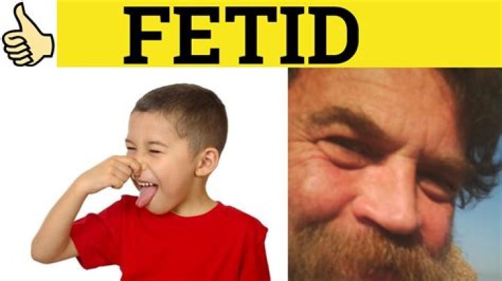 What is fedit?