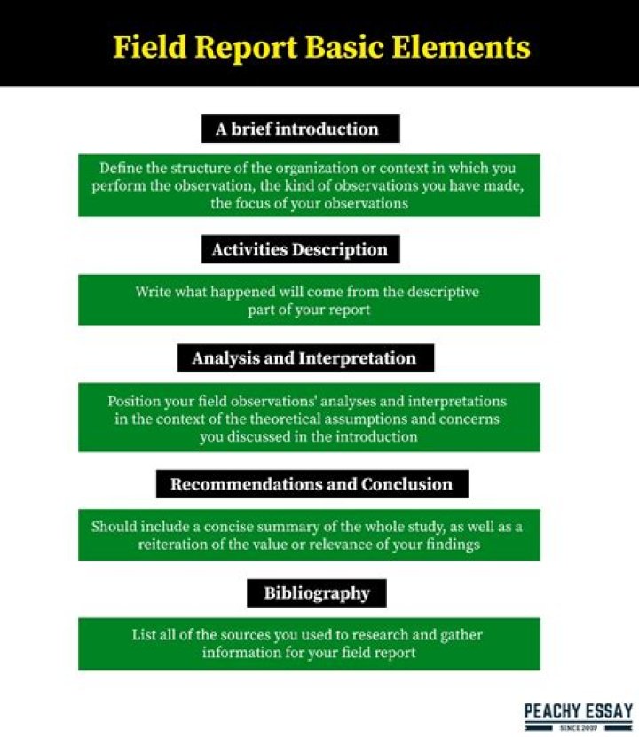 What is field reports?