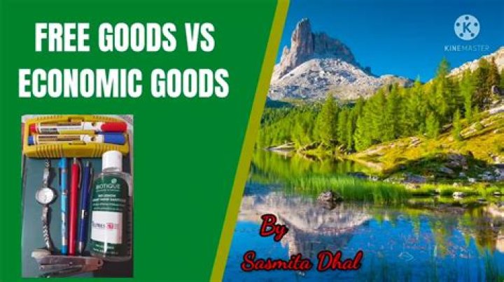 What is free goods in economics?