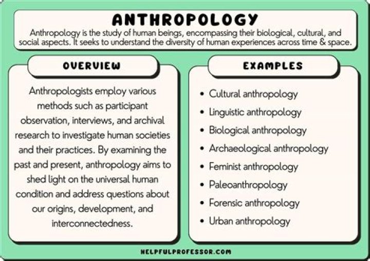 What is Genesis in anthropology?