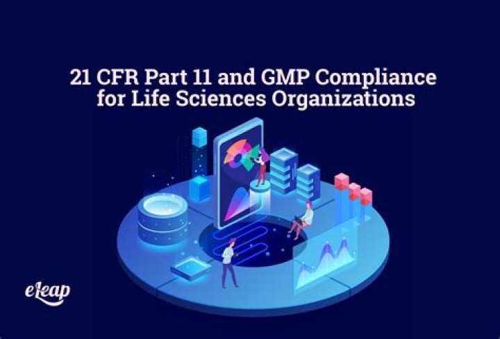 What is GMP CFR?
