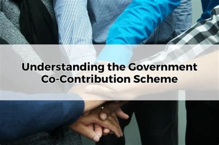 What is government co-contribution?