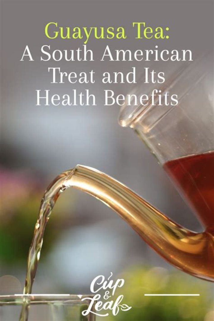 What is Guayusa tea good for?
