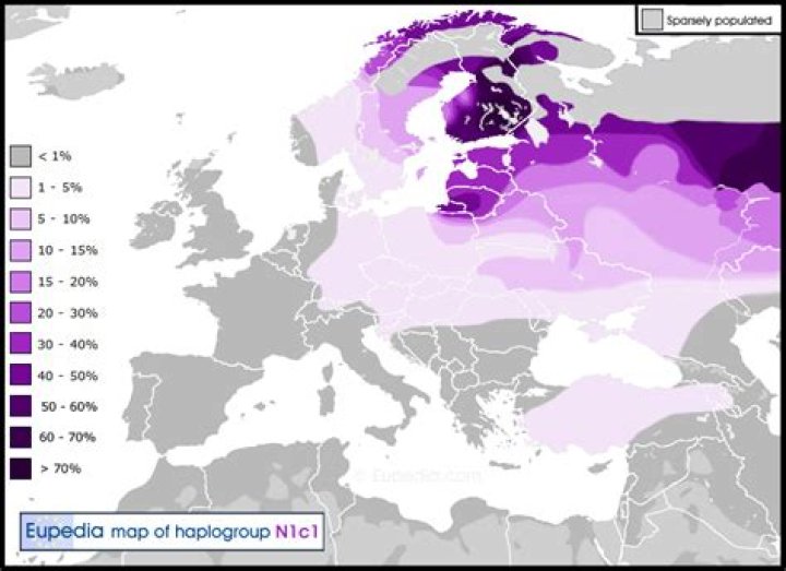 What is Haplogroup N1?