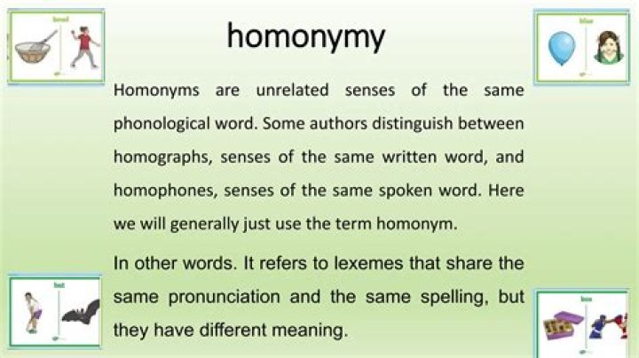 What is Homonymy and examples?