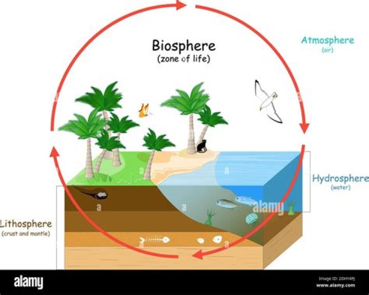 What is hp biosphere?