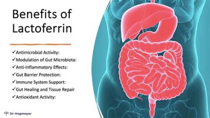 What is human lactoferrin?