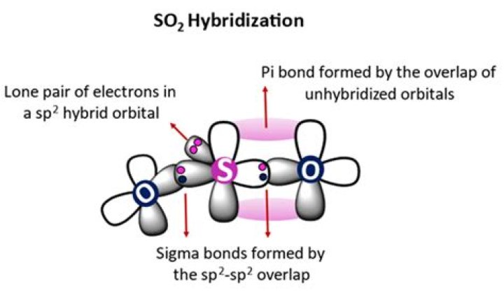 What is hybridization of SO2?