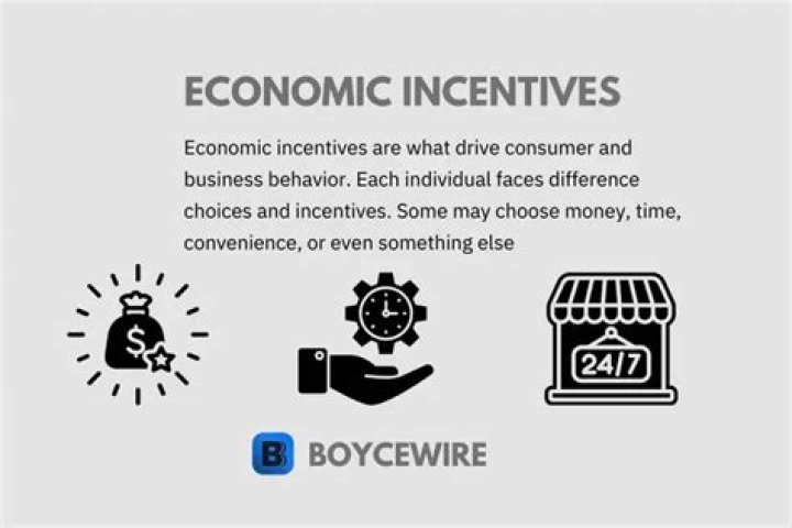 What is incentives in economics with example?