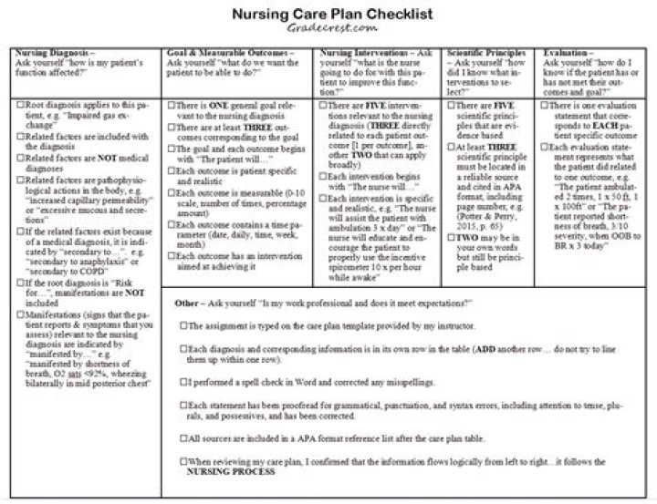 What is included in a nursing care plan?