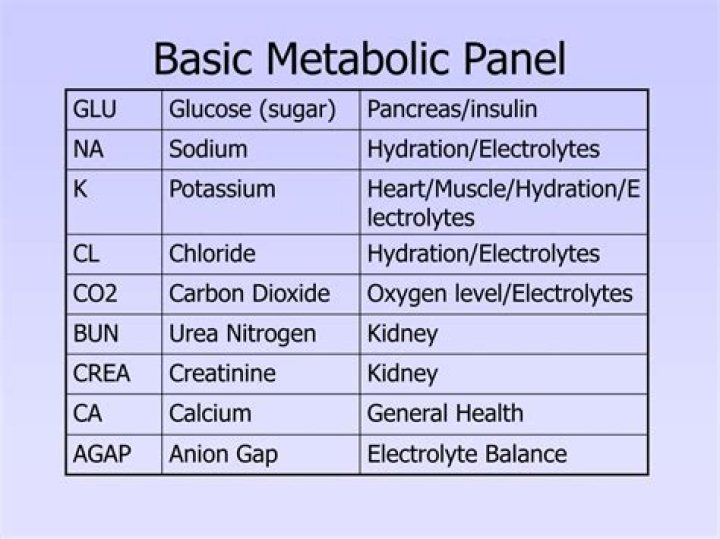 What is included in basic metabolic panel?