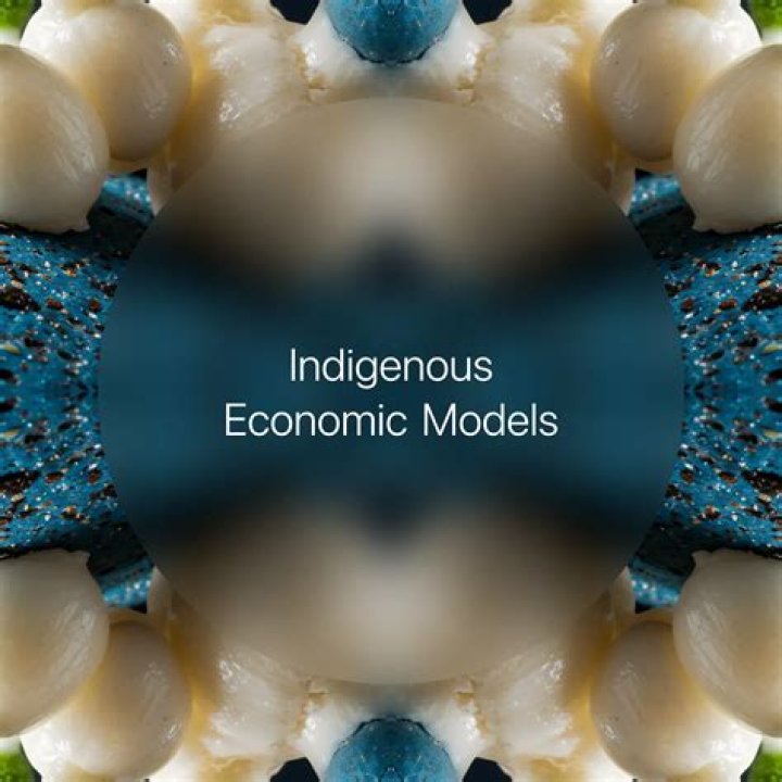 What is indigenous economy?
