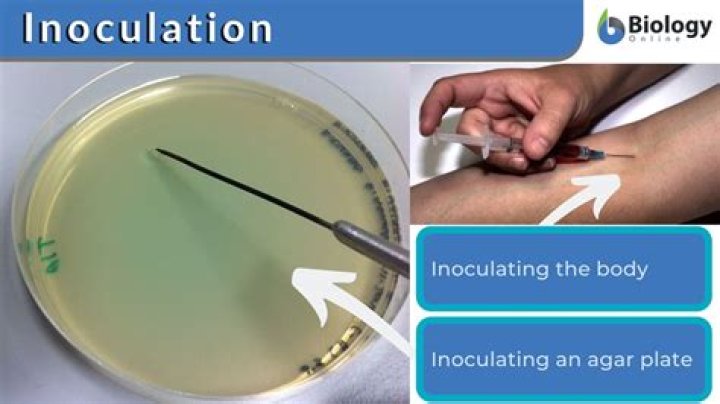 What is inoculate in microbiology?
