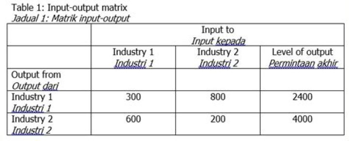 What is input-output Matrix?