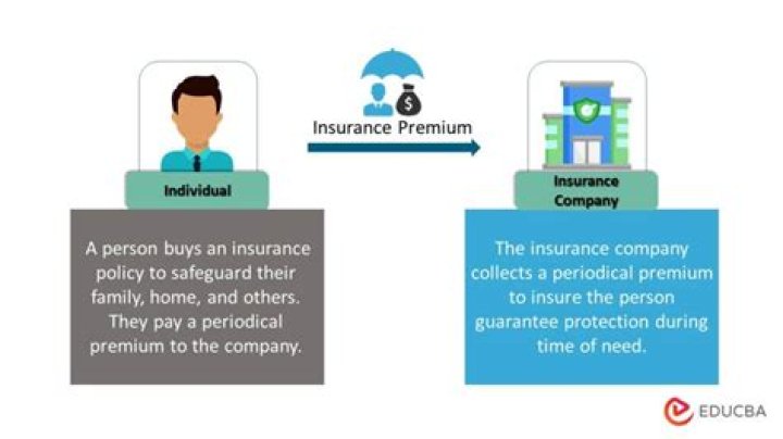 What is insurance Isterm?