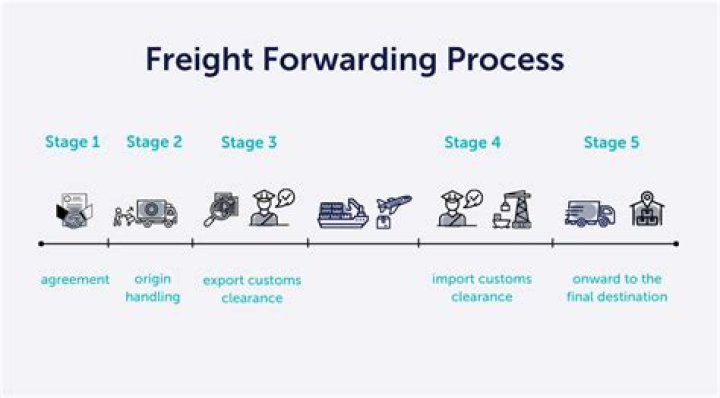 What is international organization in freight forwarding?
