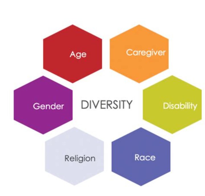 What is it meant by diversity?