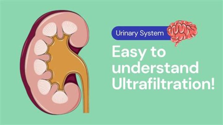 What is kidney ultrafiltration?