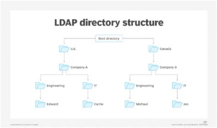 What is LDAP organizational unit?