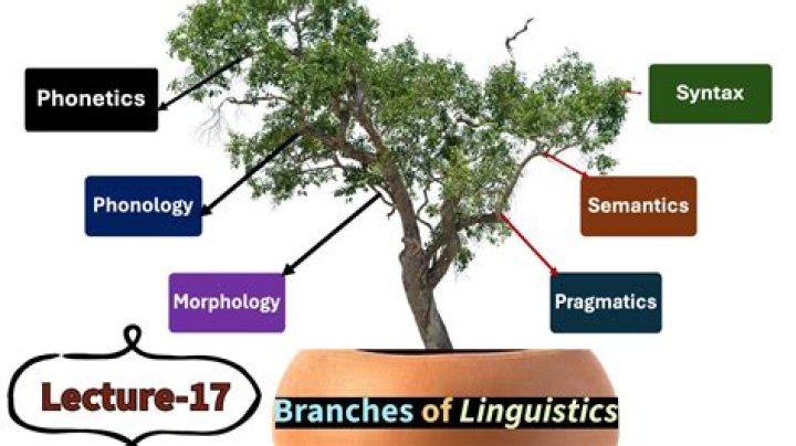 What is left-branching in linguistics?