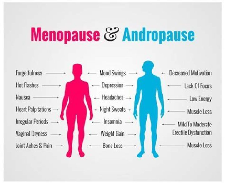 What is male menopause and how does it work?