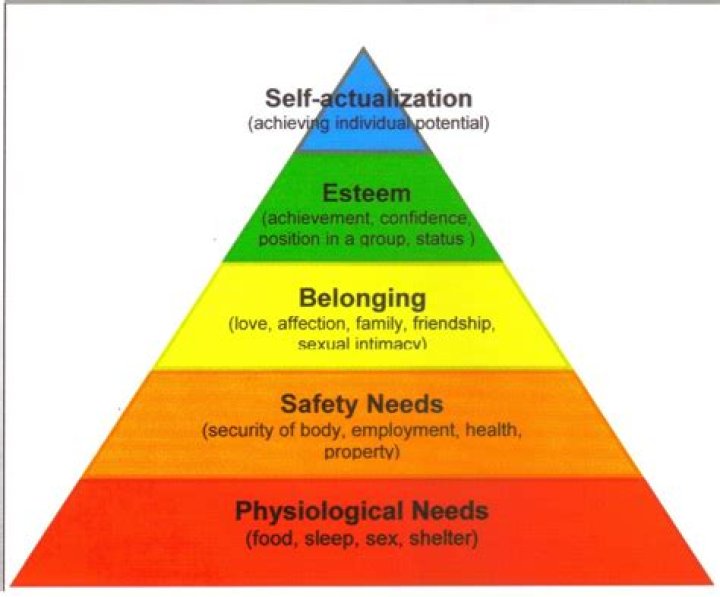 What is Maslow theory?