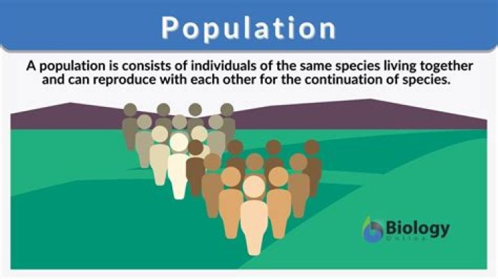 What is meaning of population for kids?