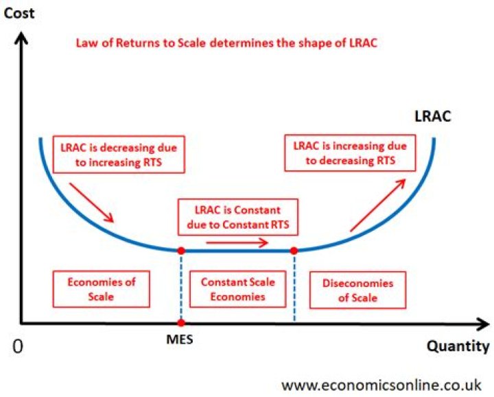 What is meant by decreasing returns to scale?