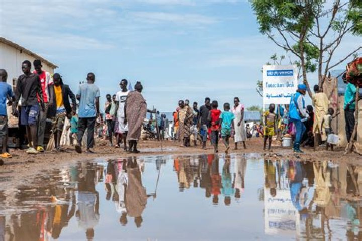 What is meant by environmental refugees?