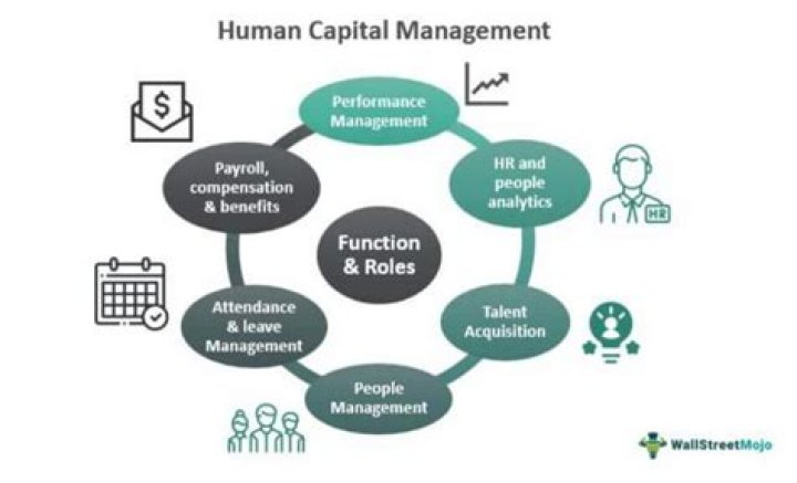 What is meant by human capital management?