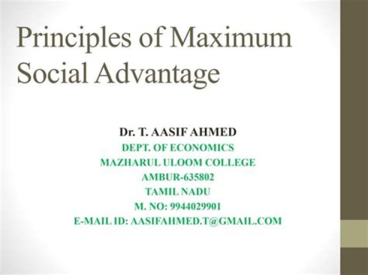 What is meant by maximum social advantage?