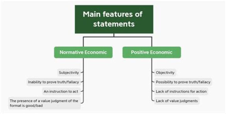 What is meant by positive statement in economics?