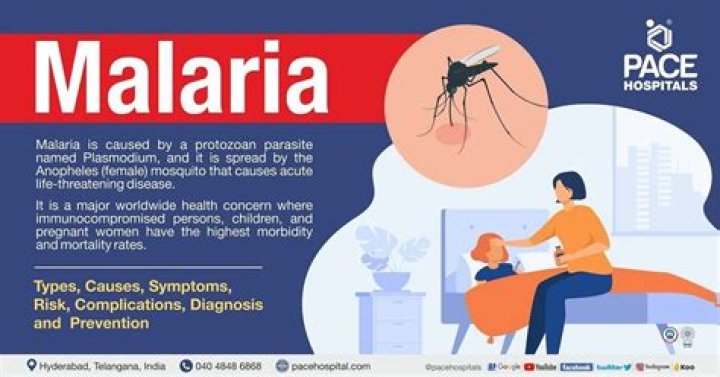 What is Merogony in malaria?