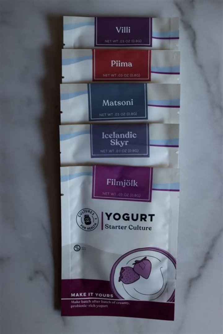 What is mesophilic yogurt?