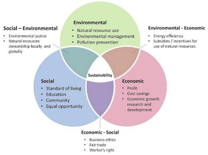 What is more important economic development or the environment?