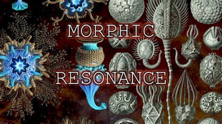 What is morphic resonance in psychology?