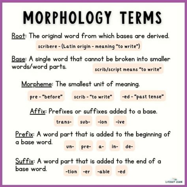 What is morphological grammar?