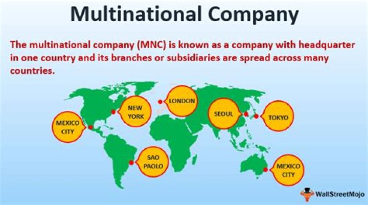 What is multinational enterprise example?