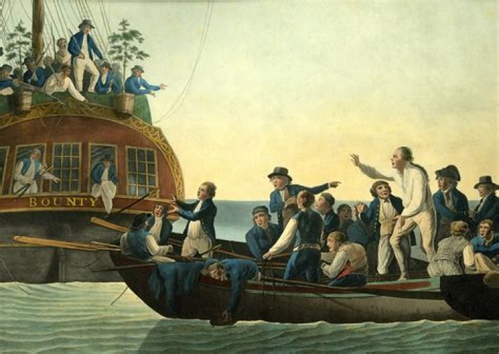 What is mutiny in history?