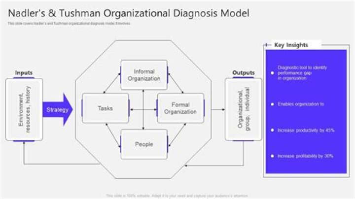 What is Nadler and tushman model?