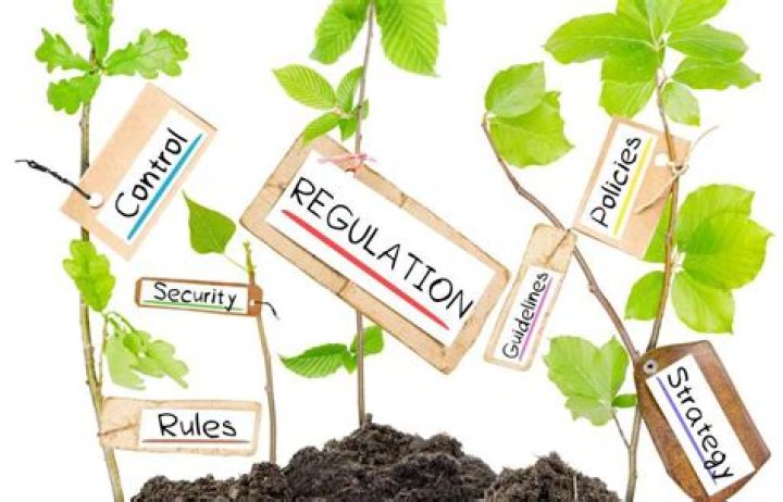 What is national environment legislation?