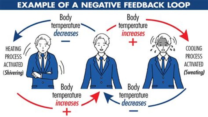 What is negative feedback and examples?