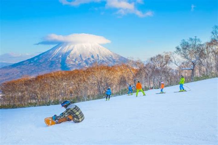 What is Niseko known for?